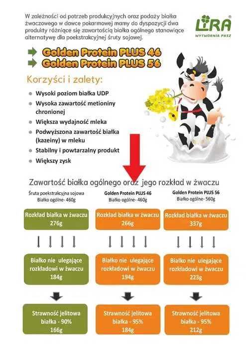 Golden Protein Plus 46%, Zamiennik Śruta sojowa 1t