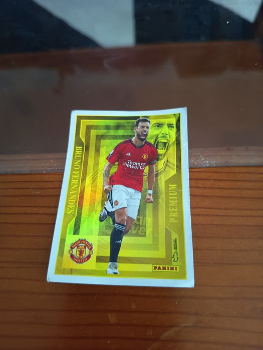 Cromos de Futebol Variados
