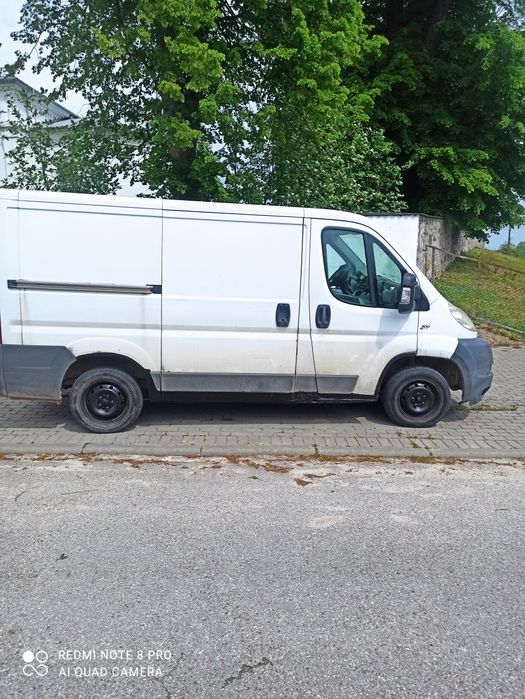 Bus na sprzedarz