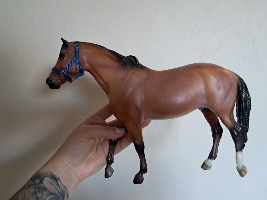 Model Breyer traditional Kentucky