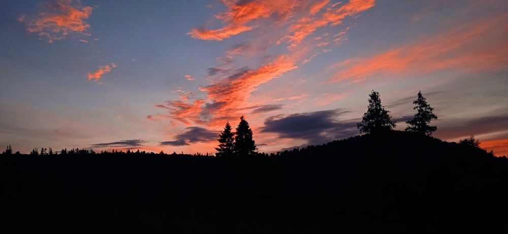 Біла хижа. Ідеальний відпочинок в Карпатах з дітьми. Будинок в горах.