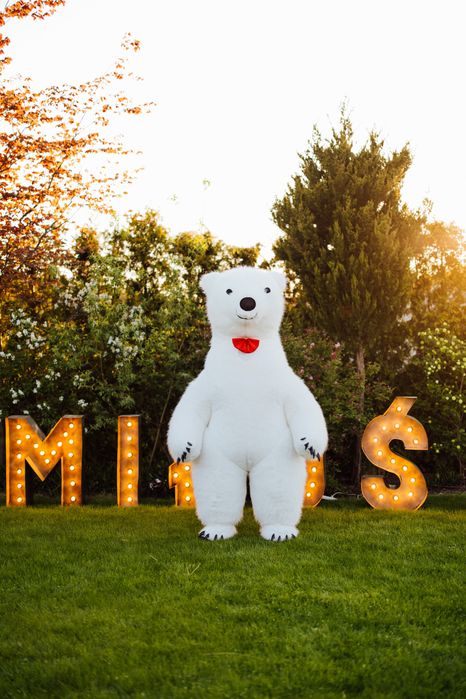 Miś tańczący na twoją imprezę ! Tańczące MISIE ! Urodziny i nie tylko!