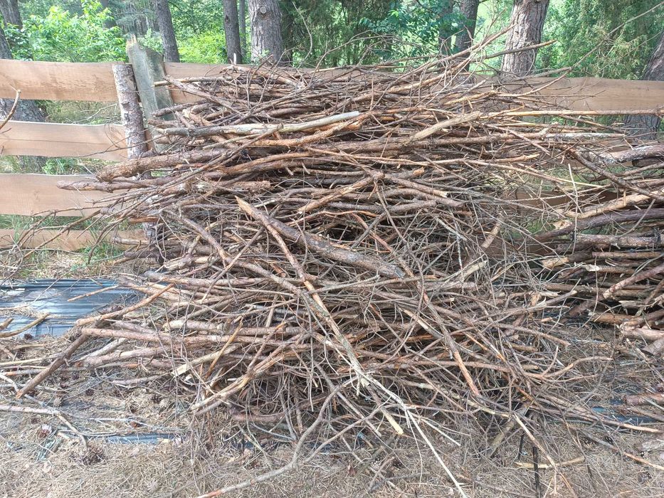 Gałęziówka, gałęzie, chrust - sosna, drewno opałowe - nowa wycinka
