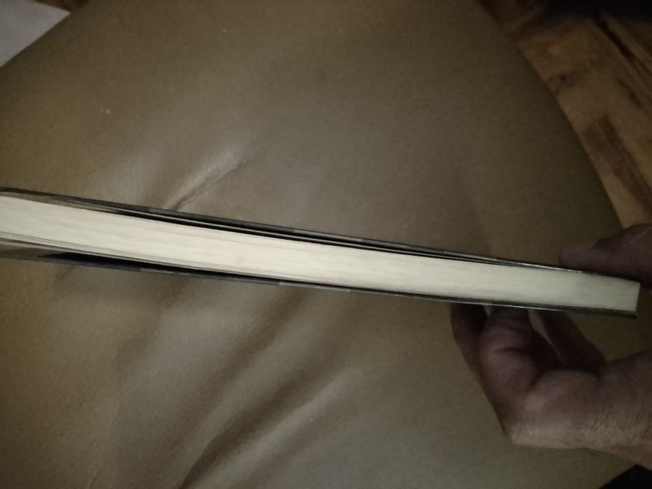 Mulheres no espelho-Elizabeth Gomes-1e-Moner10E-Mala tiracolo7EDesde2E