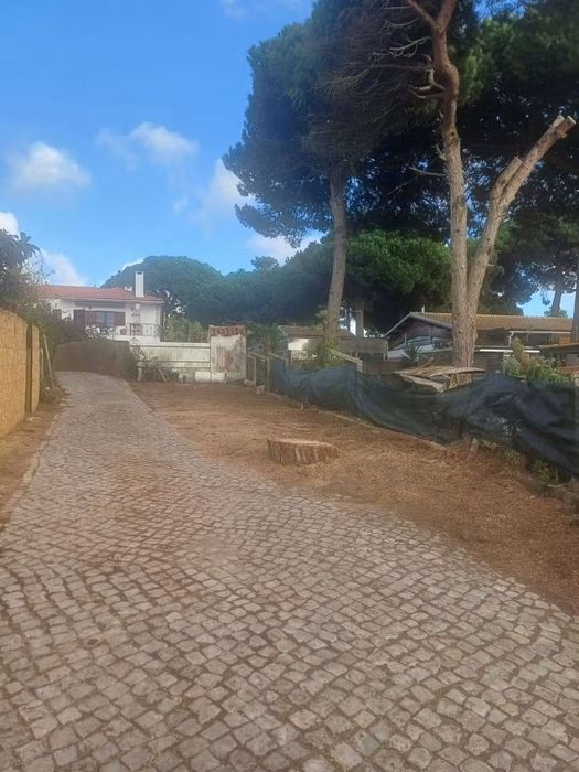 Limpeza terrenos jardins corte árvores