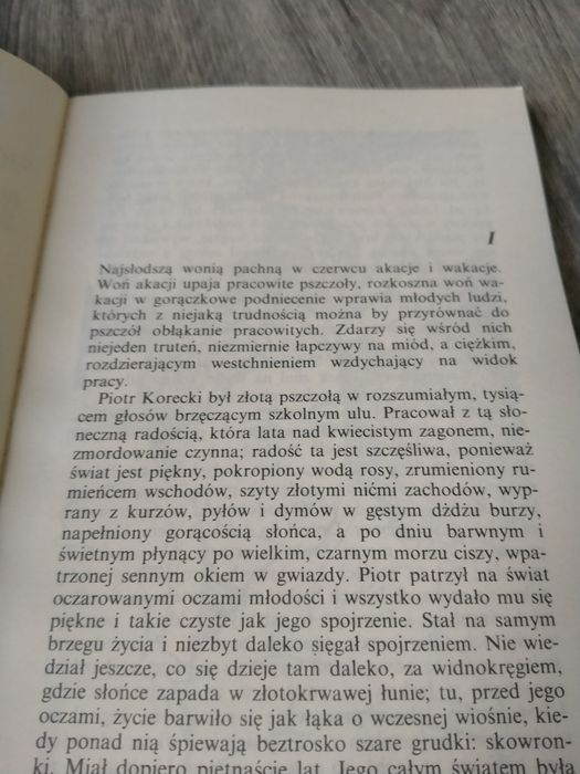 Kornel Makuszyński wielka brama