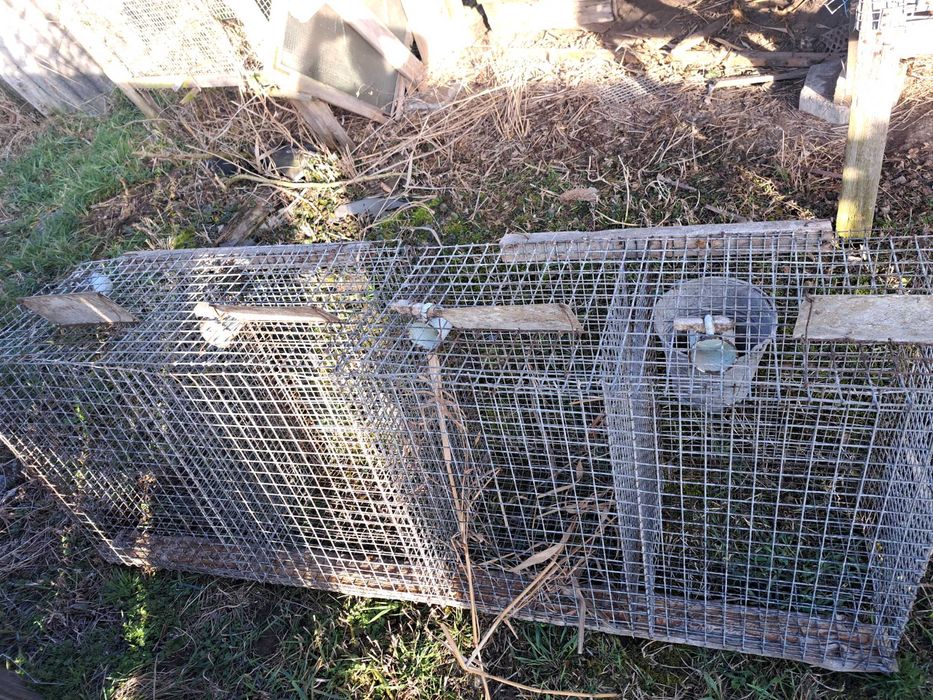 Klatki dla zwierząt