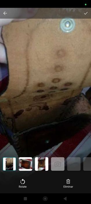 Bolsa ricamente trabalhada couro