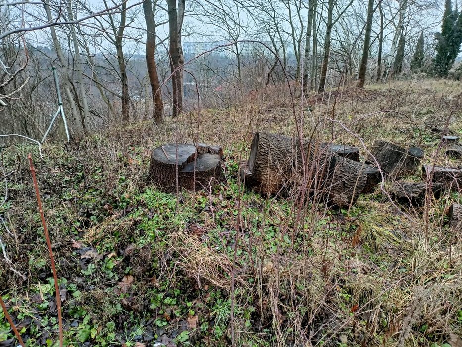 usługi ogrodnicze prace ziemne wycinka niwelacje
