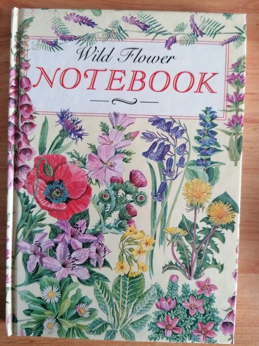 Vários livros de notas, agendas anuais