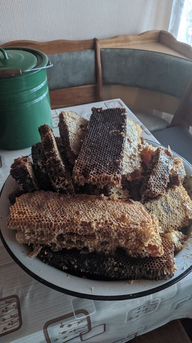 Продам лісовий мед