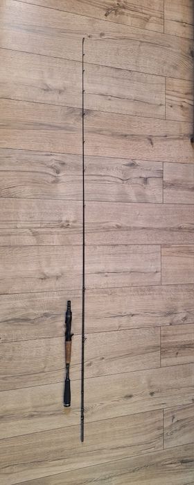 Wędka Abu Garcia Hornet Stinger Plus Cast 205cm - 10-30g