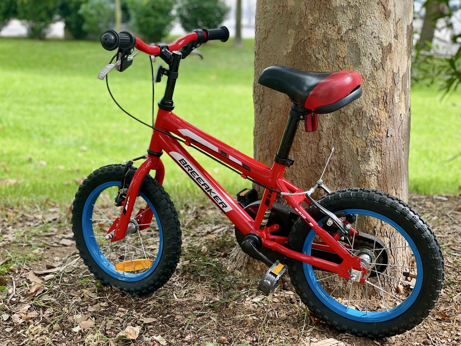 Bicileta de Criança 14 polegadas (4-5 anos)