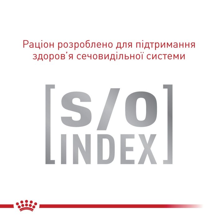 Royal Canin FUSSY 4 кг, Роял Канін Фассі, 4 кг