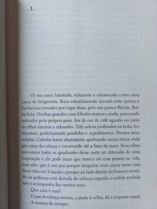 Barba Ensopada de Sangue - Daniel Galera