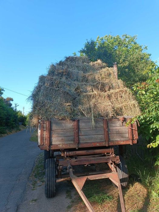 Продам сіно лугове в тюках