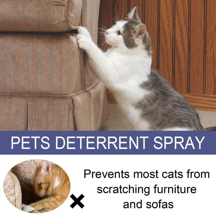 Spray odstraszający dla kotów 50ml B663