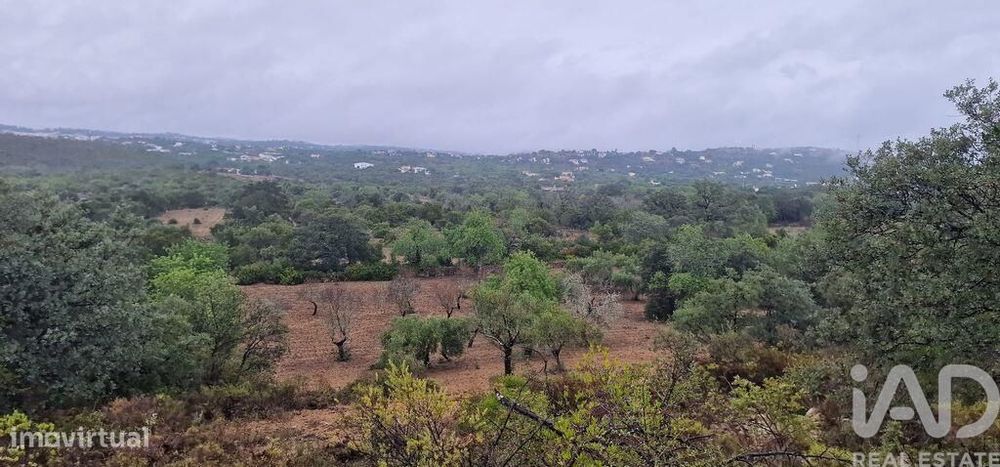 Terreno Agrícola em São Brás de Alportel de 3400,00 m2