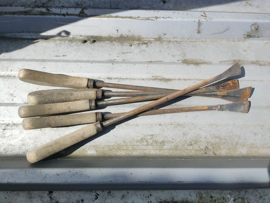 Nóż do szparagów Brunszwik wycinacz do chwastów