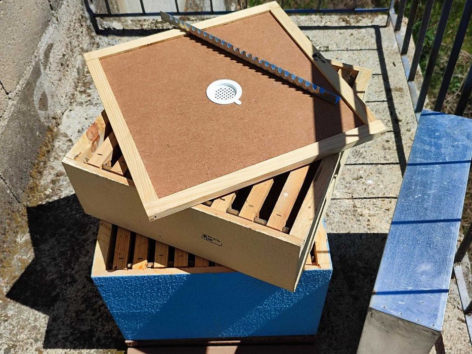 Colmeias Lusitanas Novas