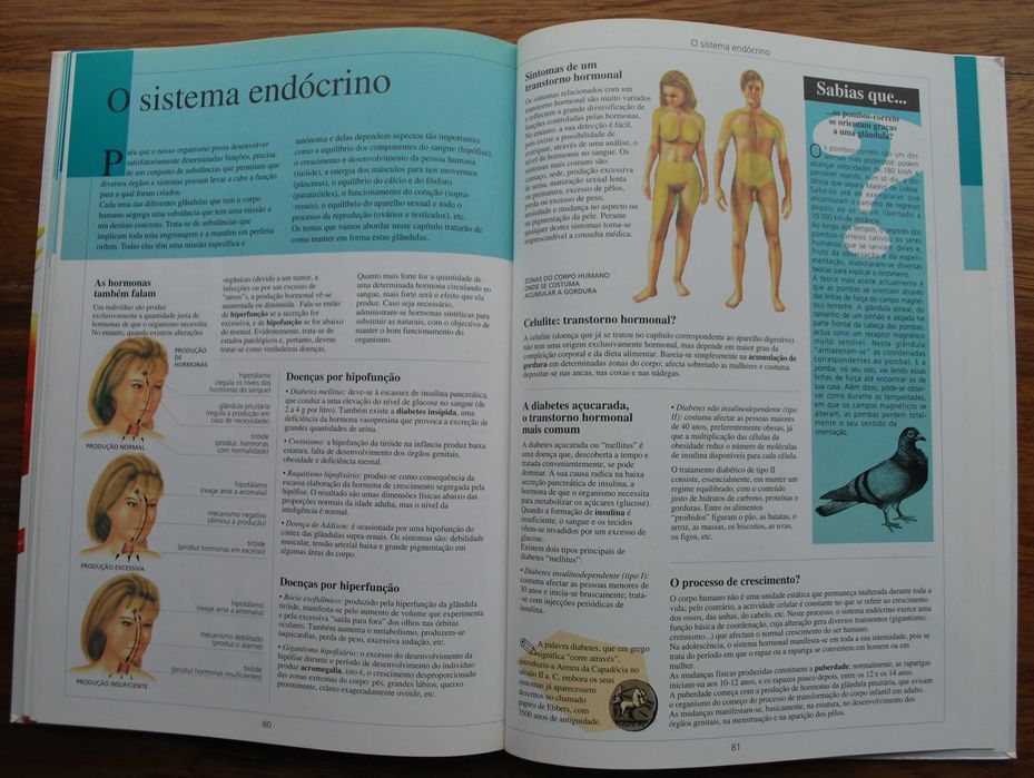 Cuida do Teu Corpo (Conhece O Teu Corpo)