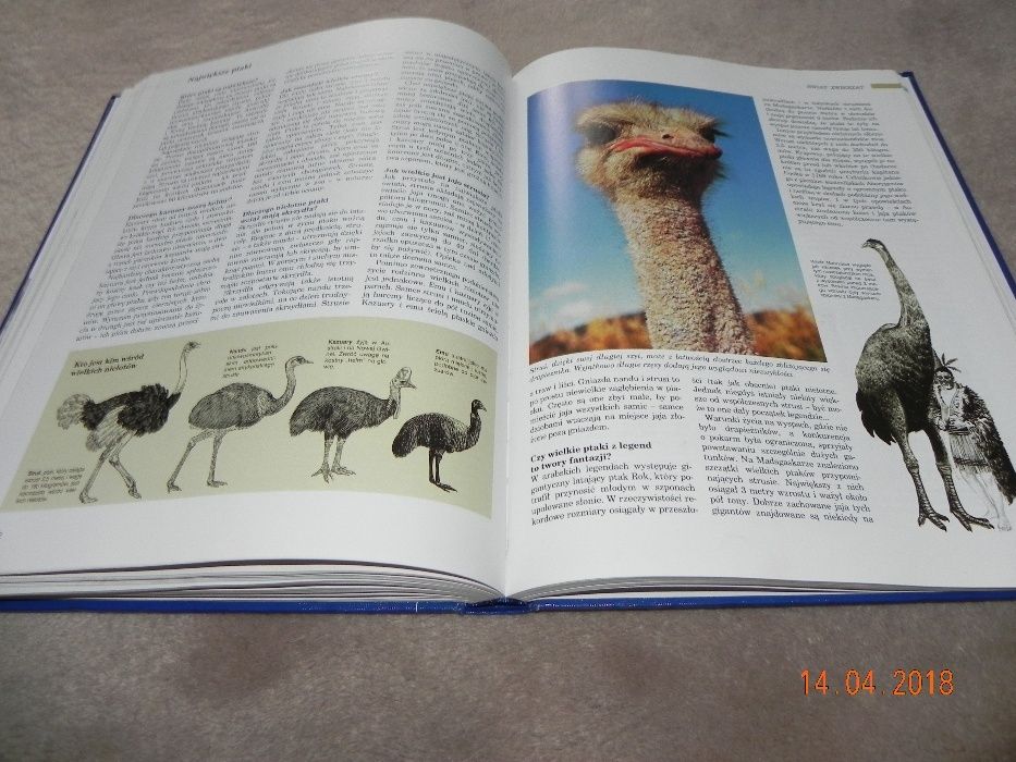 ABC przyrody. W pytaniach i odpowiedziach READER'S DIGEST