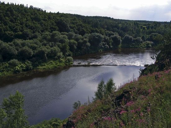 Продам земельну ділянку село Губків