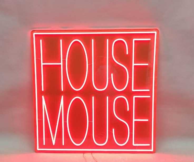 Produção de Letreiros/Reclamos Luminosos Néon LED Personalizados