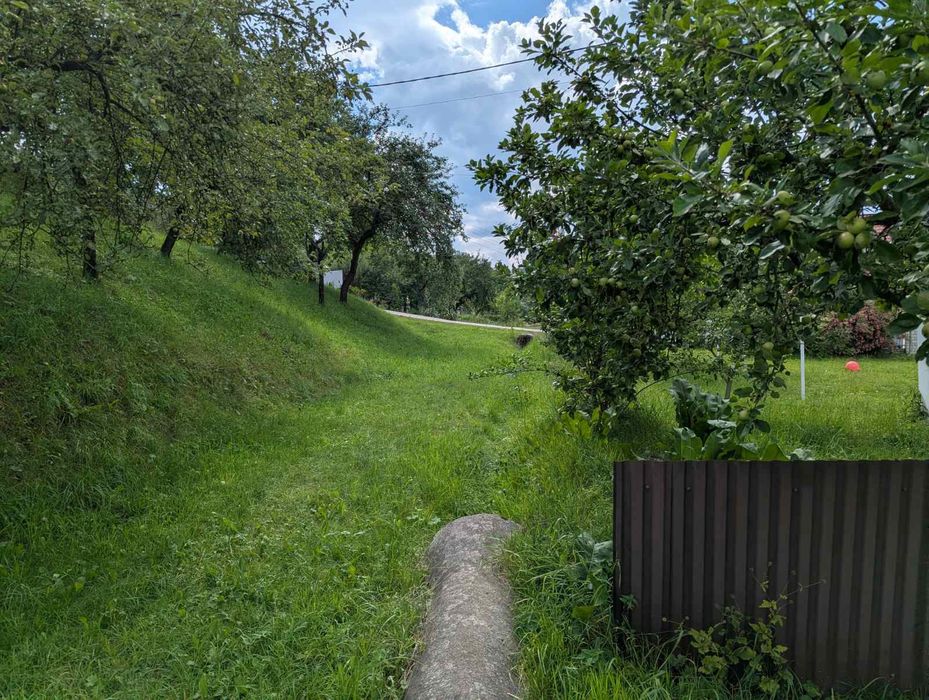 Будинок в селі Прокурава
