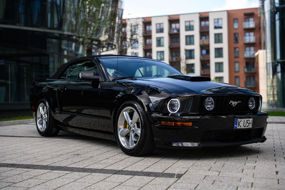 business-site-gallery-photo