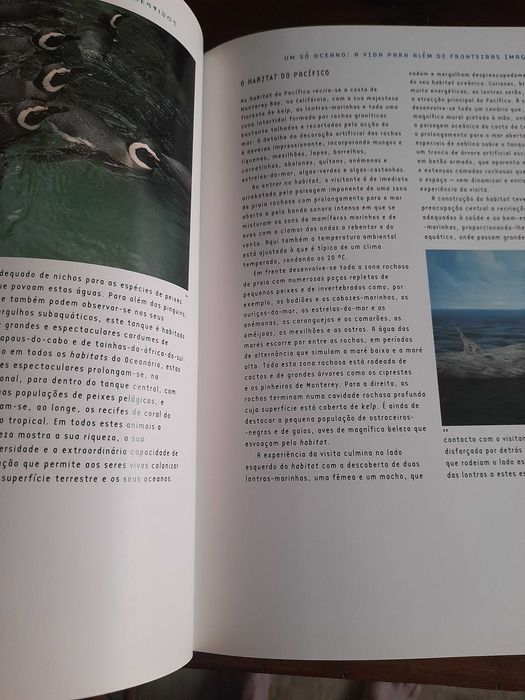 Pavilhão dos Oceanos: Exposição Mundial de Lisboa de 1998