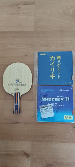 Raquete de tênis de mesa profissional