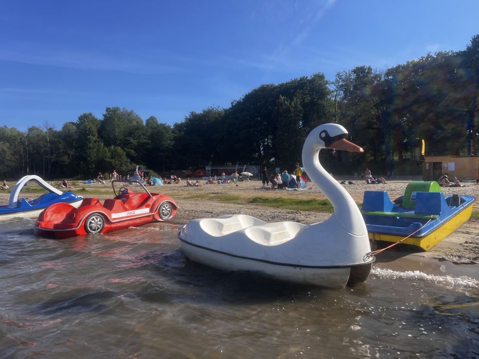 Rowerki wodne - Garbuski , tradycyjne,delfiny ze zjezdzalnią , Łabądź