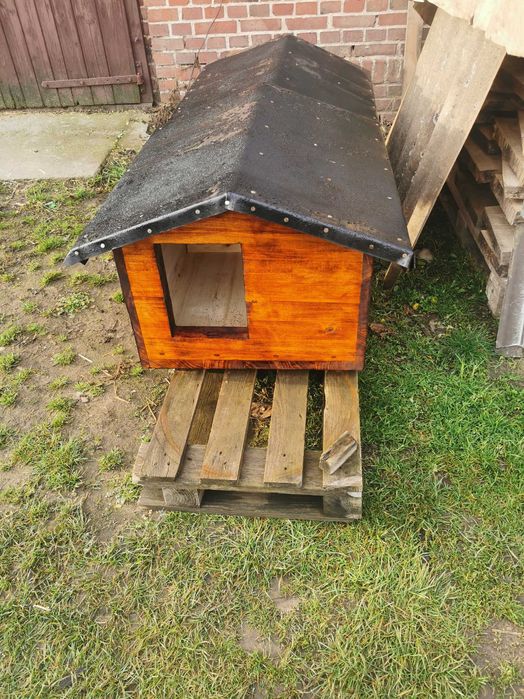 Budy dla psa małe i duże