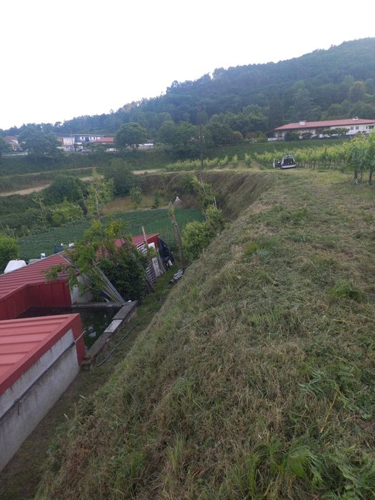 Limpeza de terrenos