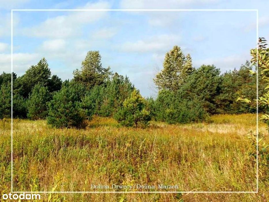 Ostatnie działki w Dolinie Drwęcy z m.p.z.p. z dostępem do strugi! - View 5