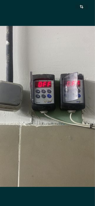 Здам в оренду промисловий холодильник