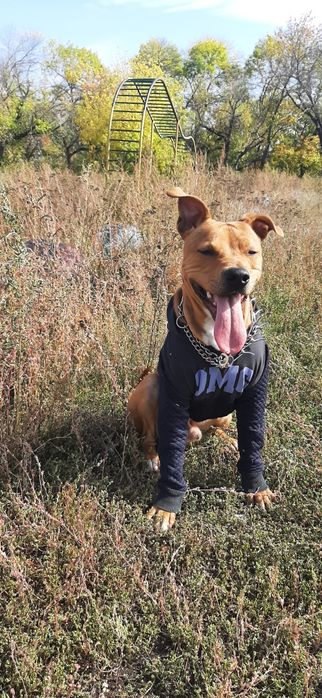 Жених ищет невесту