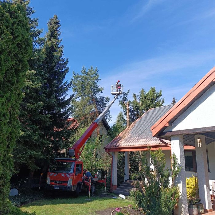 Wycinka i przycinanie drzew Tarczyn | Frezowanie pni