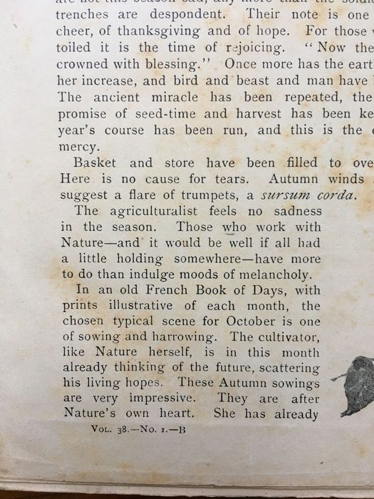 The girls own annual volume 38 Hardcover 1 Jan 1917 by Flora Klickmann