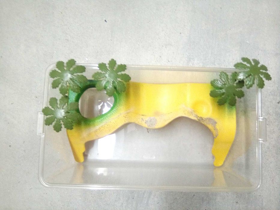 Aquário para tartarugas64584409288963122