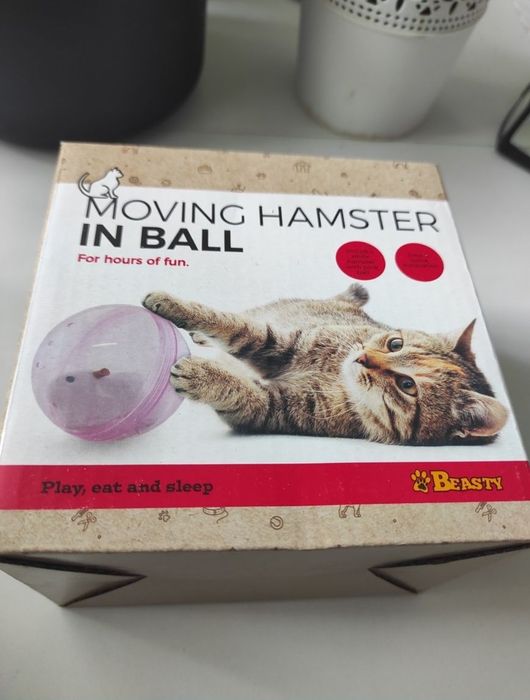 Interaktywna zabawka dla kota