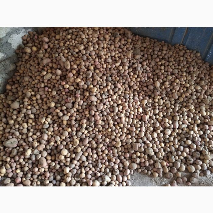 Продам сіно, картоплю малу