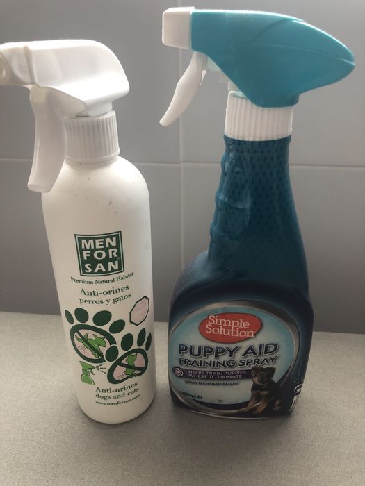 Tapete educação, acessórios e ofertas