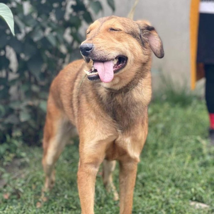 Шанс в поиске семьи