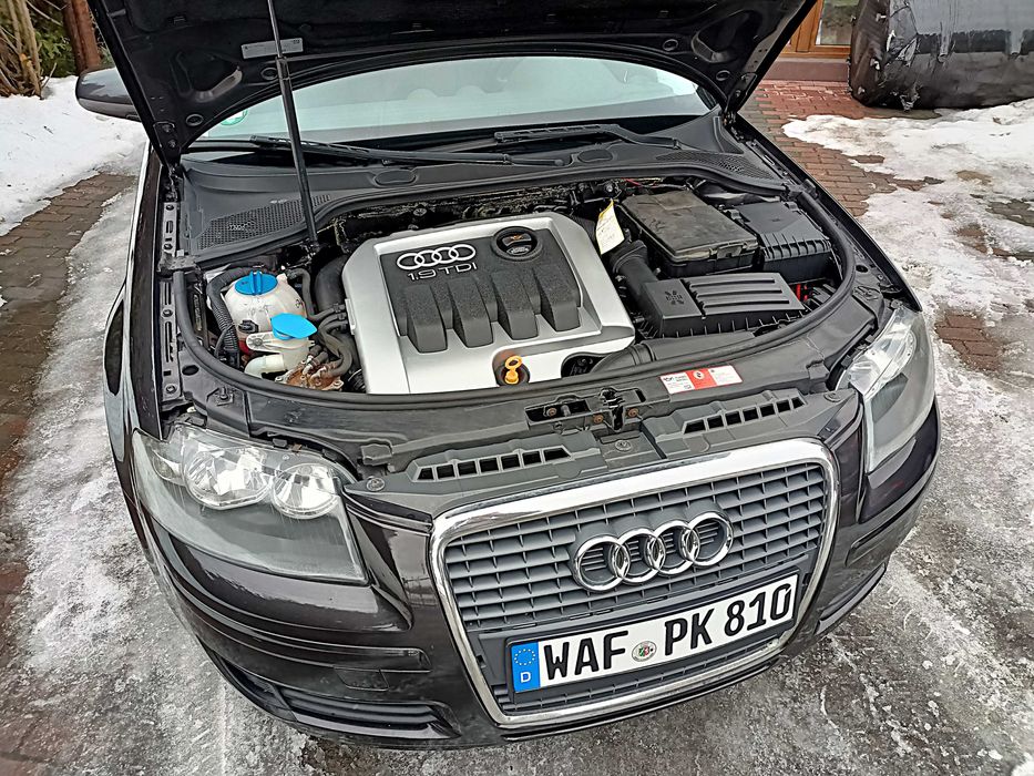 Audi A3 8P 1,9TDi 105KM! Niemcy! Opłacony! 5drzwi! Navi! Alu!