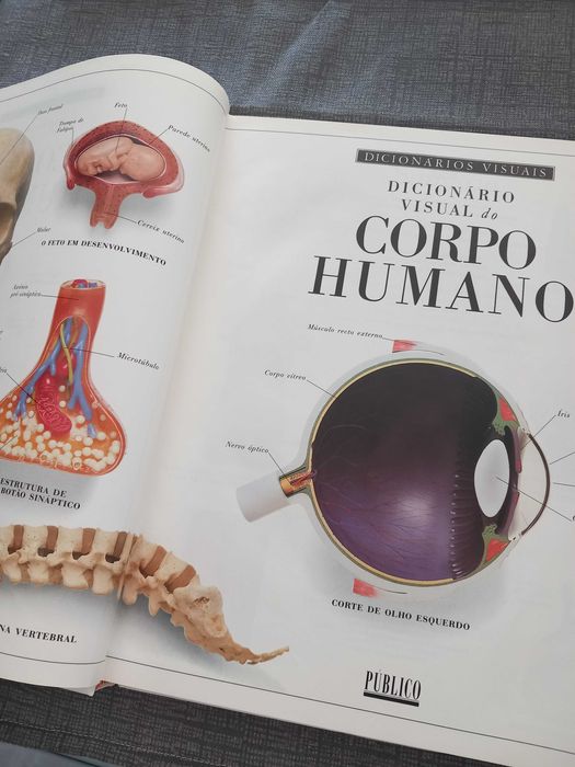 Livro de colecção,  Dicionario Visual.