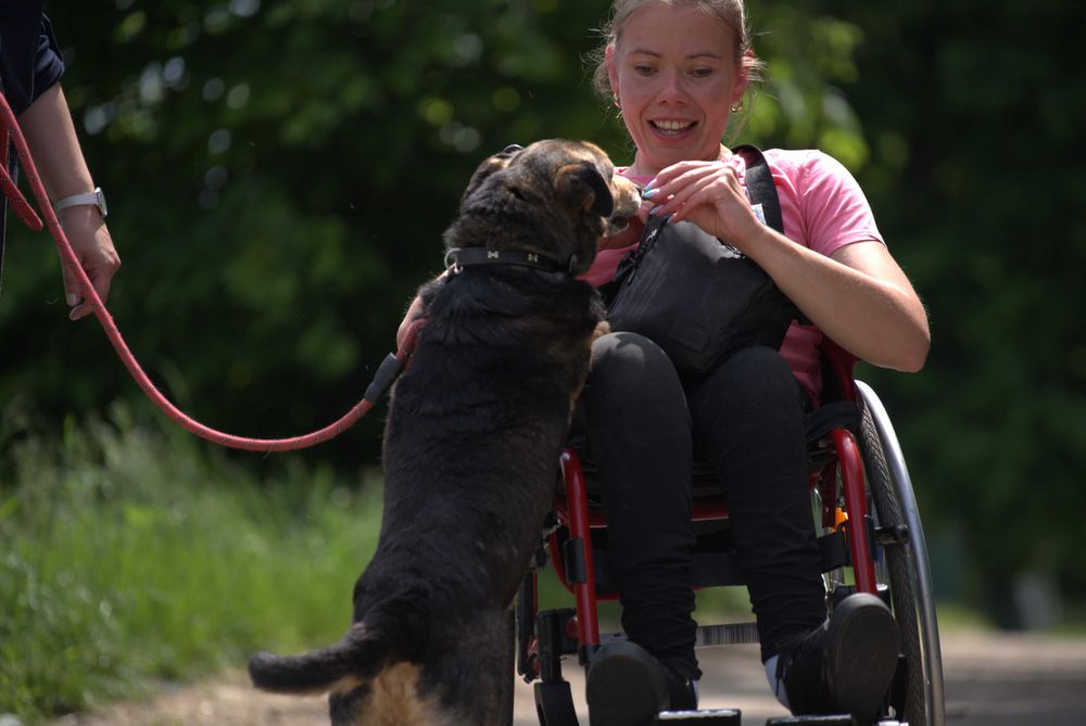 Tropi - spokojny niewielki pies do adopcji