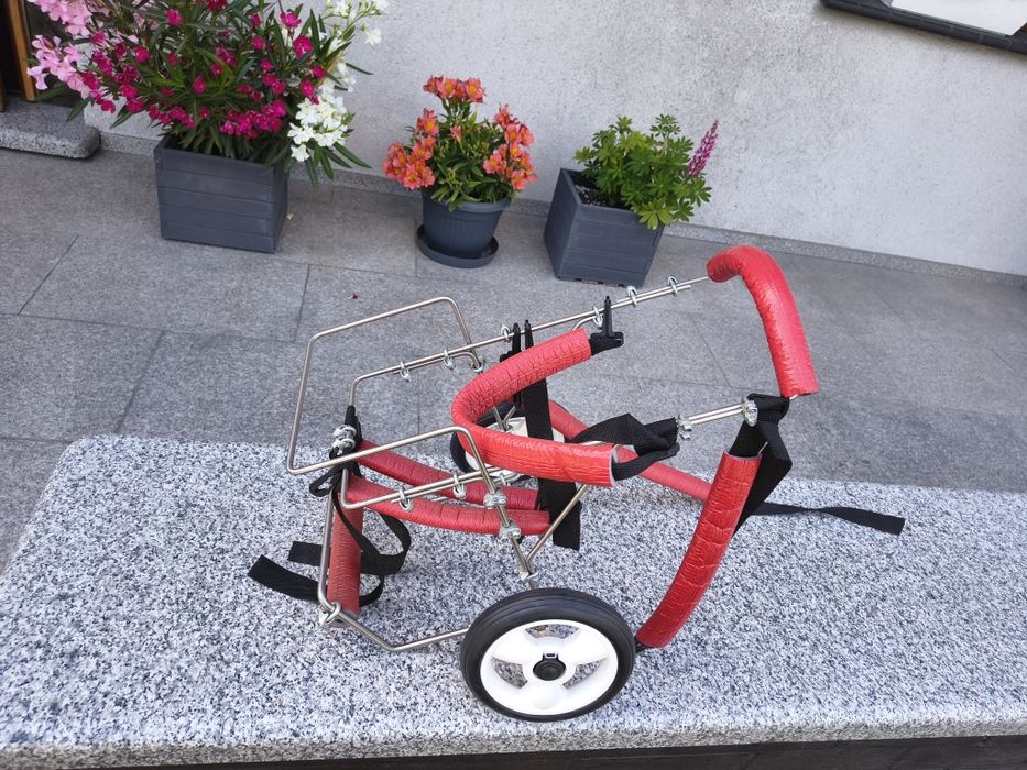 Wózek inwalidzki dla pieska.