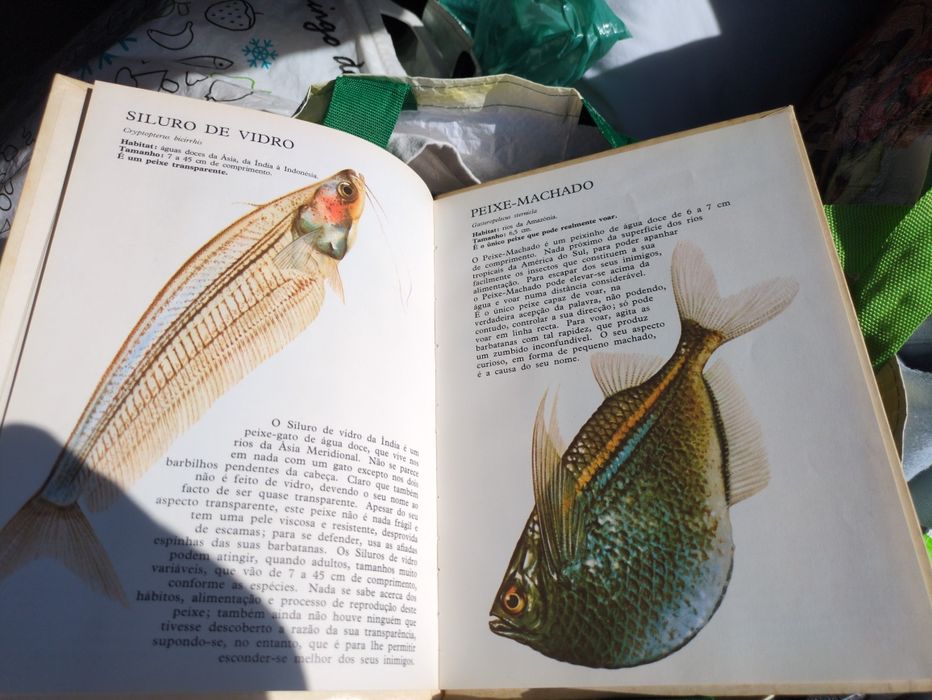 Livros Maravilhosos Peixes de Norman Weaver e Christine Bernard